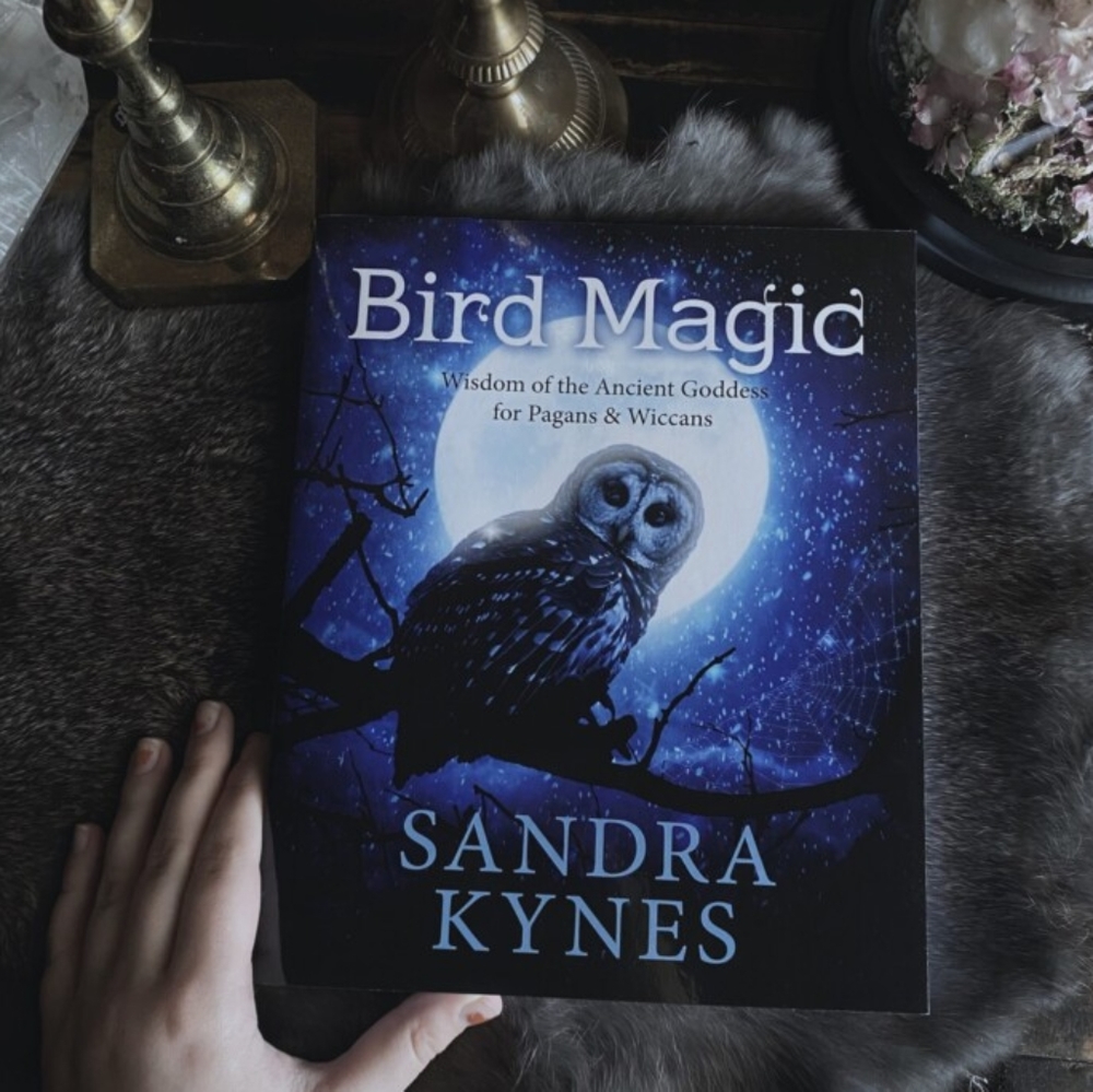 BIRD MAGIC - Picture 1 of 2